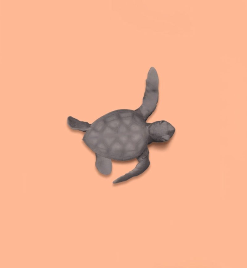 TurtleThumb